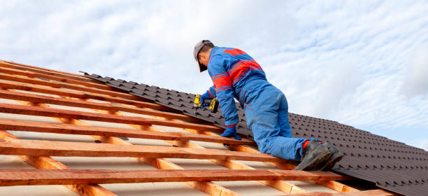 Best Roof Coating and Sealing  in Mokena, IL